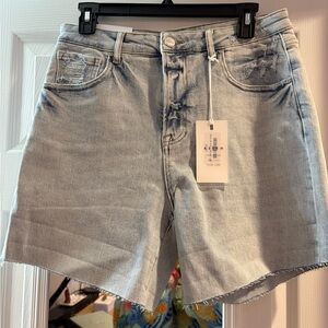 Stylish Risen Light Blue Women's Jean Shorts